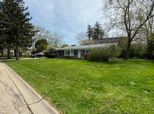 Pat D.'s Lawn Mowing service result