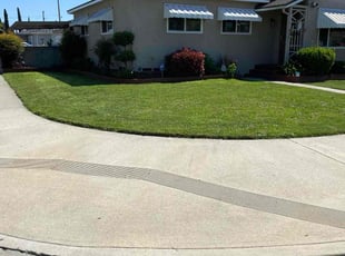 Dewayne W.'s Lawn Mowing service result