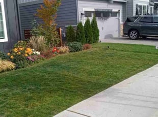 Tonya E.'s Lawn Care service result