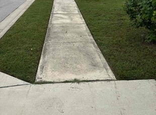 AMBER K.'s Lawn Service service result