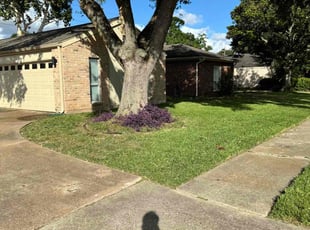 Cedric R.'s Grass Cutting service result