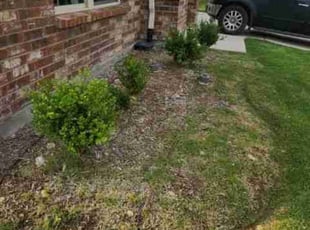 Weeding by Kevin (Jesus) Valencia for Josh G. in Frisco, TX