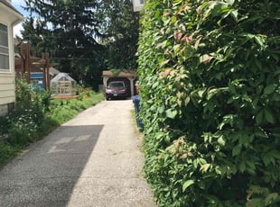 Leaf Removal by Scott Basinger for Brian W. in Lakewood, OH