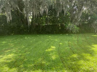 Betty O.'s Lawn Service service result