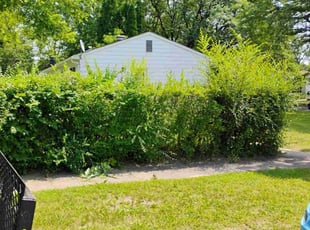 Bush Trimming by Damin Soto for Matthew G. in Lansing, MI