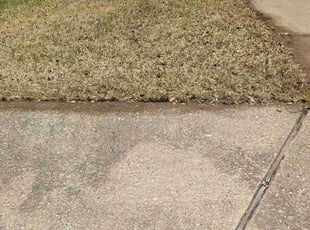 Leaf Removal by Alfredo Aguero for Julie P. in Austin, TX