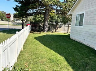 David H.'s Yard Cutting service result