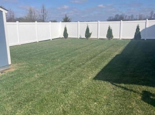 Chrissy R.'s Lawn Mowing service result