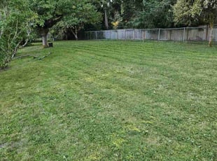 Steve L.'s Lawn Maintenance service result