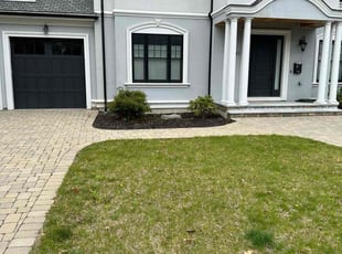 Weeding by Seth Aidoo for Amy D. in Brookline, MA