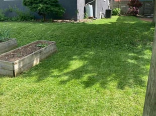 Dorothy R.'s Lawn Service service result