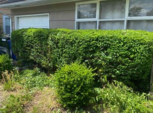 Bush Trimming by Buckeye Touch for Lillie H. in Columbus, OH