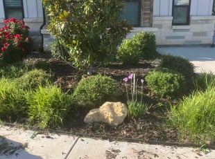 Weeding by Zachary Coonrod for Jason C. in Justin, TX