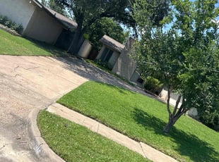 Burt S.'s Yard Cutting service result