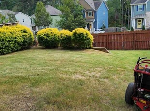 Leaf Removal by Willie P for Belinda B. in Decatur, GA