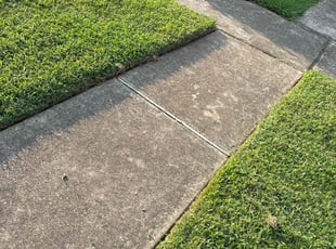 Alex G.'s Lawn Care service result