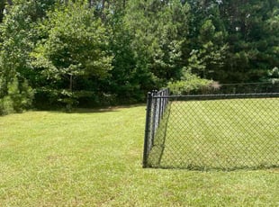 Tiffany S.'s Grass Cutting service result
