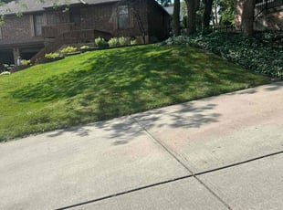 Richard ( Rick ) R.'s Lawn Maintenance service result