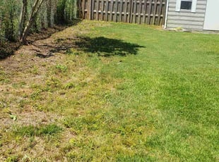 Cleanups by Brandon Walls for Rachel R. in Navarre, FL