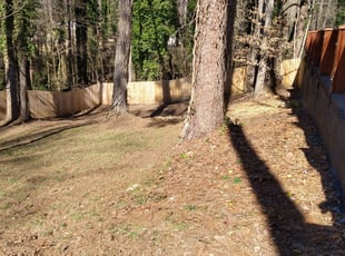 Leaf Removal by Rickey McCoy for Jaycina A. in East Point, GA