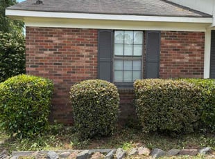 Bush Trimming by Antonio Rhodes for Demetra A. in Hephzibah, GA