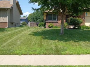 Melinda W.'s Yard Cutting service result