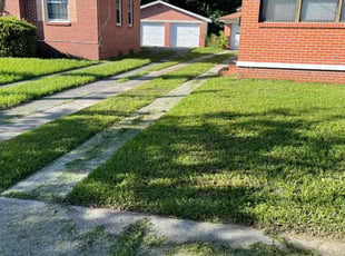 Nifah C.'s Lawn Mowing service result