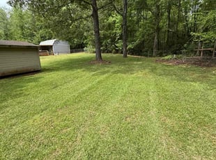 Kristan U.'s Yard Cutting service result