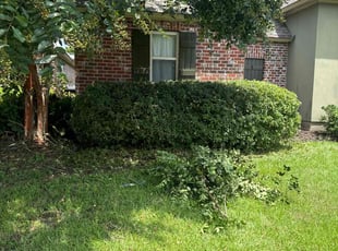 Bush Trimming by Terrance Richardson for Jamal L. in Baton Rouge, LA