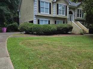 Bush Trimming by Julius Snipes for Brandi G. in McDonough, GA