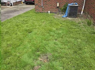 Leaf Removal by Jonathan Negron for Graylin N. in Euclid, OH