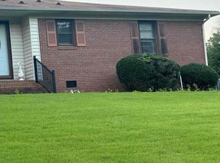 Bush Trimming by Jesse Martin for Stephanie H. in Lexington, NC
