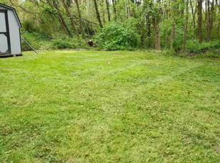 Joel Z.'s Lawn Service service result
