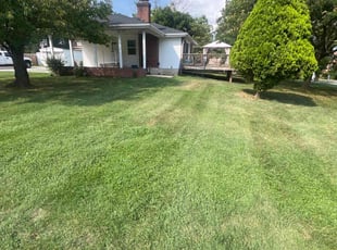 Valerie J.'s Lawn Mowing Service service result