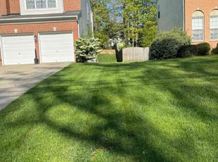 Frances A.'s Lawn Mowing Service service result