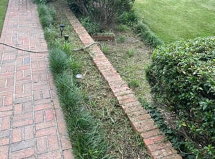Weeding by Tremaine Ward for Carol R. in Columbia, SC