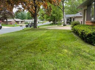 Peter A.'s Lawn Service service result