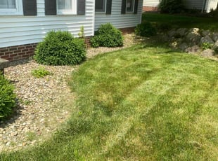 Weeding by Mr Incredible for Paul M. in Stow, OH
