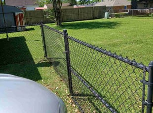 Kristi N.'s Lawn Mowing Service service result
