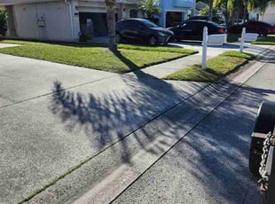 Alex V.'s Lawn Maintenance service result
