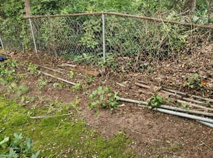 Leaf Removal by Henry Wilson for Cheryl N. in Mableton, GA