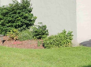 Sherry H.'s Lawn Service service result