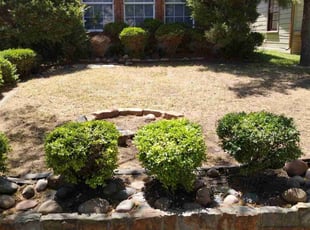 Leaf Removal by Emma Perales for Robin S. in Fort Worth, TX