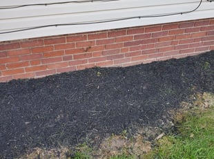 Weeding by Lameer Kidd for Ravi L. in Lakewood, OH