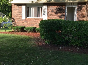 Bush Trimming by Jon Bushee for Stephanie S. in Pickerington, OH