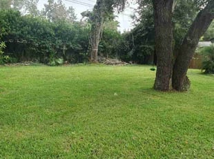 Steve M.'s Lawn Mowing Service service result