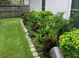 Bush Trimming by Jay Jesse for James W. in Orlando, FL
