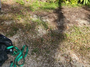 Cleanups by Willie Parker for David S. in Fort Myers, FL