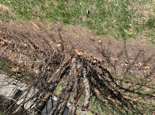 Leaf Removal by Warren Campbell for Rebecca A. in Columbus, OH