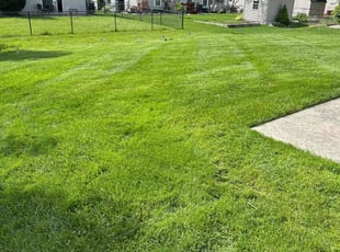 Sam B.'s Lawn Mowing service result